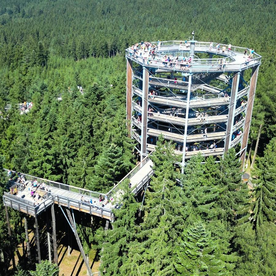 Apartment Lipno Riviera - Mysi V Bote Lipno nad Vltavou
