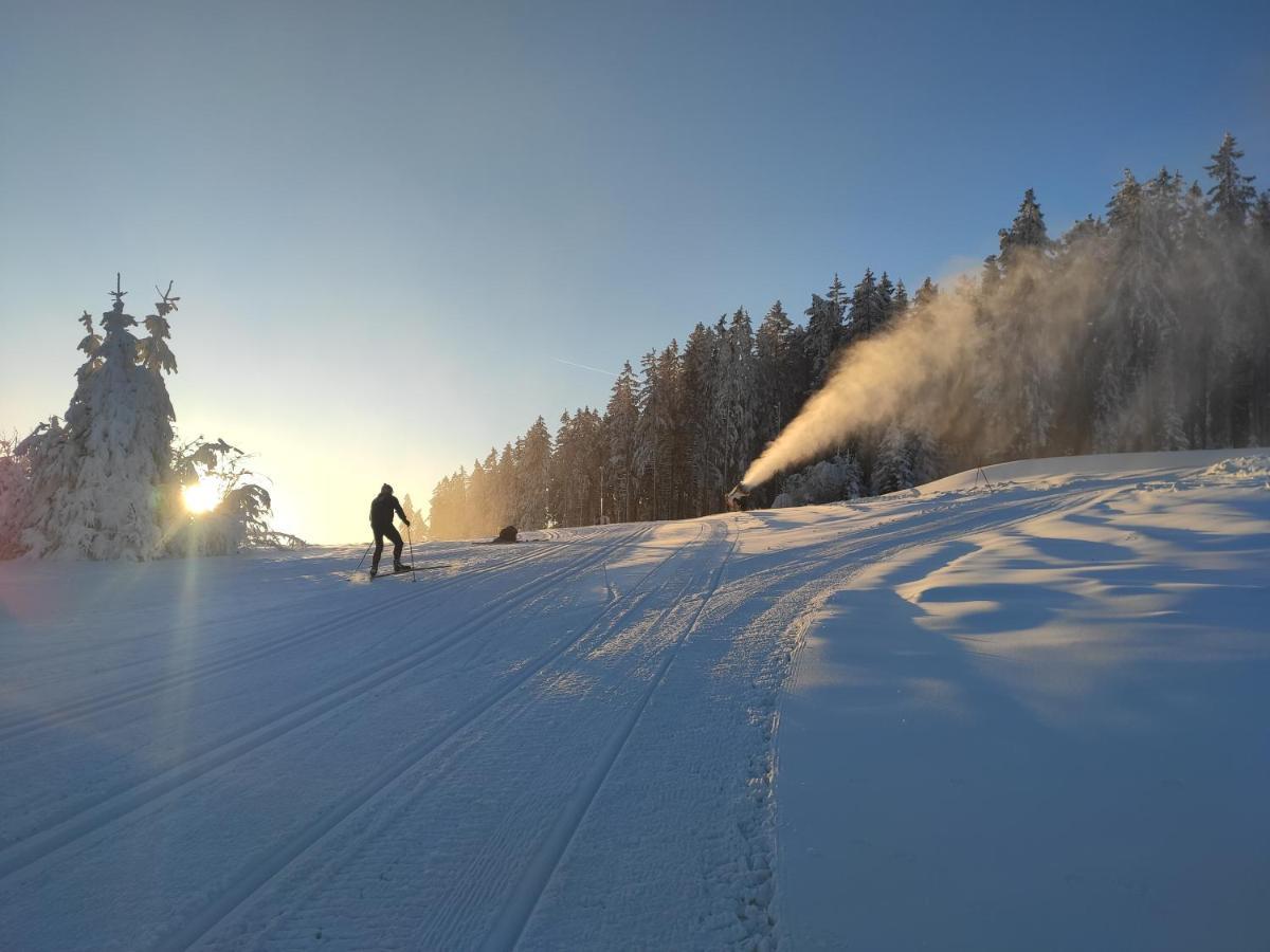 Lipno Riviera - Mysi V Bote *